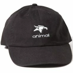 Animal Champion Shorts - Black