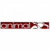 Animal 25in Street Sticker - Maroon 1 Animal 25in Street Sticker - Maroon -Bikes sale 5d2bf822 7162 4444 a0be 58d1378571b0