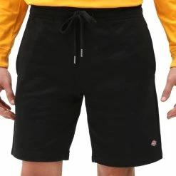 Dickies Champlin Shorts - Black