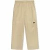 Dickies Mount Vista Pant - Khaki