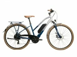 Raleigh Array Open 2022 Electric Hybrid