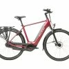 Raleigh Motus Tour Hub Crossbar 2022 Electric Hybrid