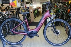 Raleigh Motus Tour Hub Low 2022 Electric Hybrid