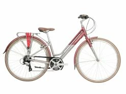 Raleigh Pioneer Grand Tour Low-Step 2022 Hybrid