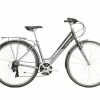 Raleigh Pioneer Low Step 2022 Hybrid