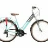 Raleigh Pioneer Trail Low-Step 2022 Hybrid