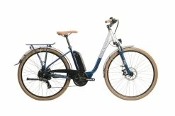 Raleigh Array Low Step 2021 Electric Hybrid