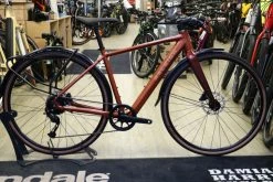 Raleigh Trace 2022 Electric Hybrid
