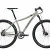 Van Nicholas Zion 29 Rolhoff Belt Drive 14spd RS - Titanium 2022 Mountain Bike